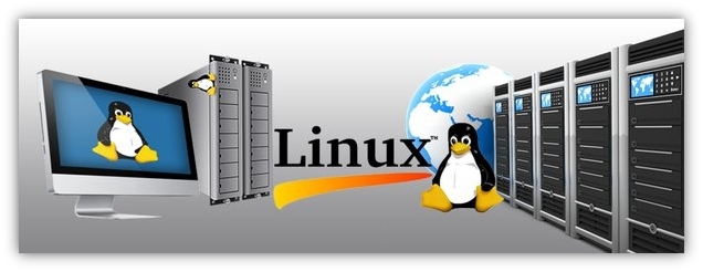 Pros And Cons Of Linux Hosting ©