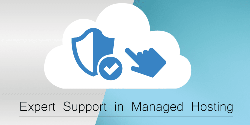 Expert Support in Managed Hosting