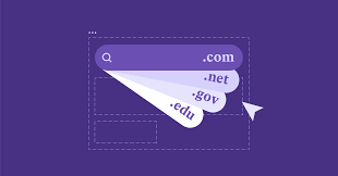 choosing the domain extension