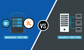 Managed vs Shared WordPress Hosting: Which One Should You Choose?