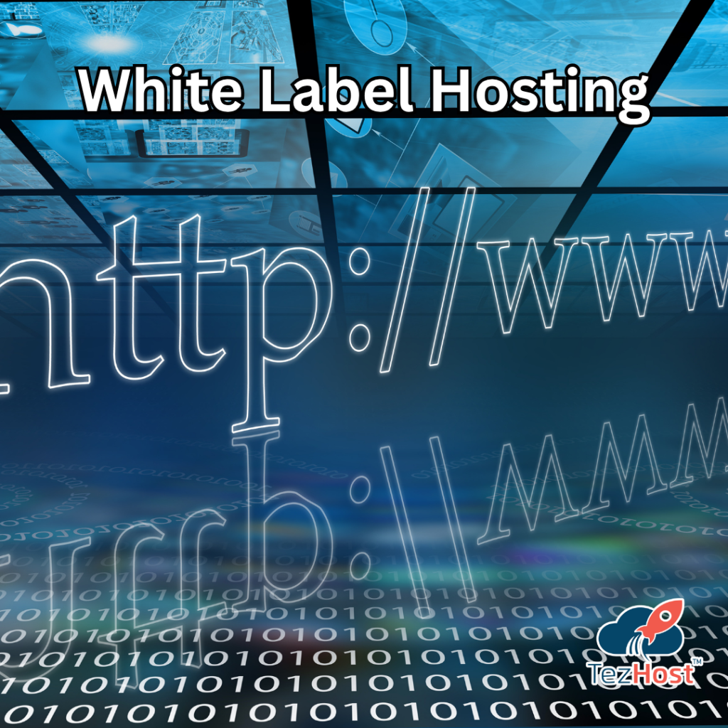 Reseller Hosting