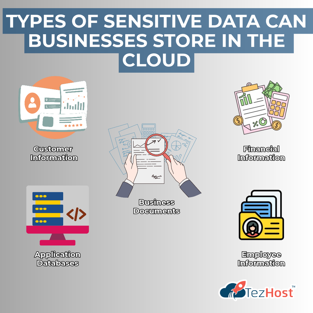 What Types of Sensitive Data Can Businesses Store in the Cloud?