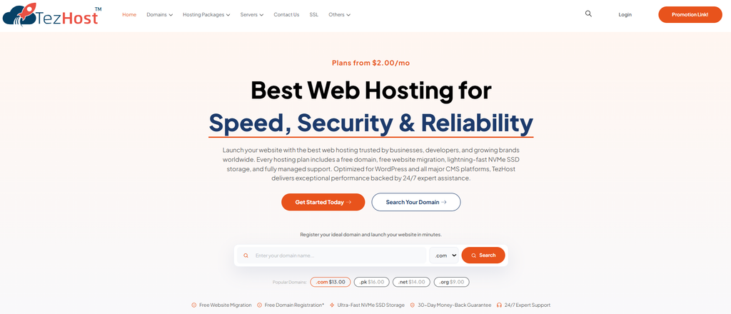 TezHost web hosting solutions for websites businesses and developers