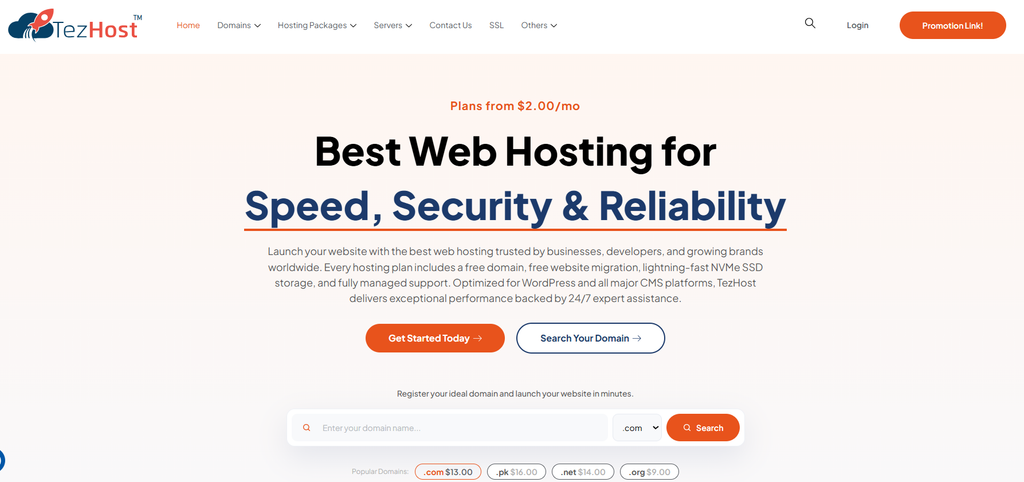 TezHost hosting and domain solutions for building an online presence