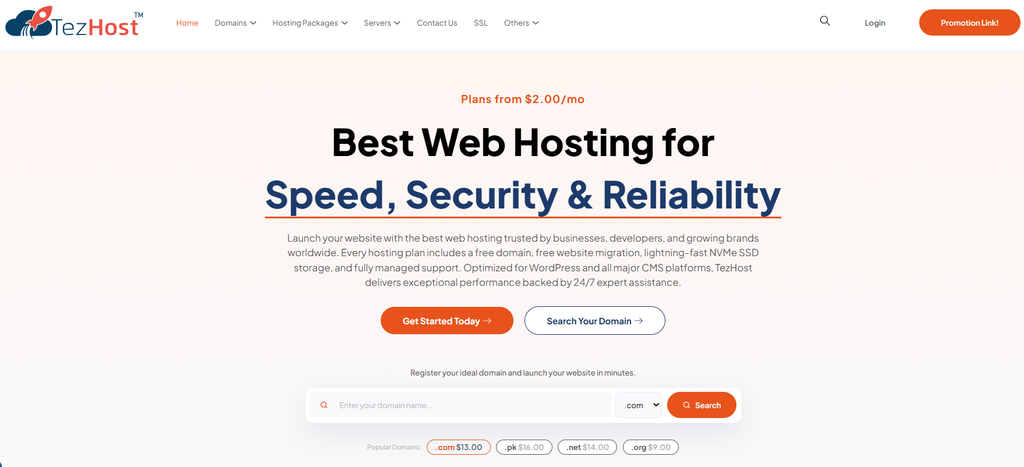 TezHost domain and hosting services supporting professional business communication